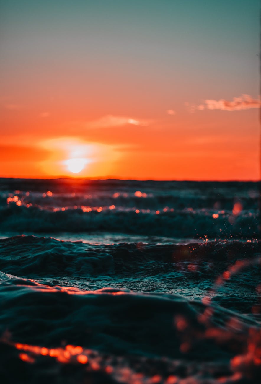 view of ocean during golden hour